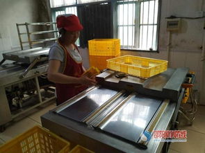 武岡市龍溪鎮(zhèn) 家門口的 扶貧工廠 提升脫貧質(zhì)量